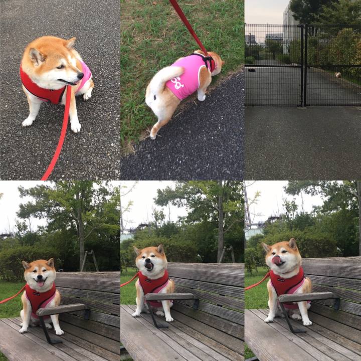 0512b7b7 1781 4426 89c5 75ca800ebf18 1601370001180