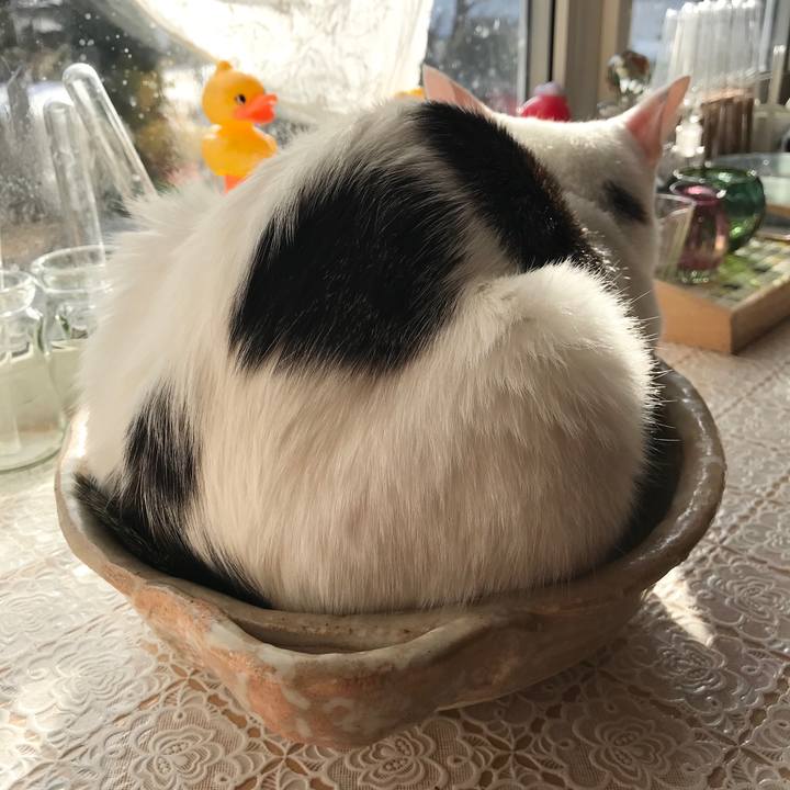 0512ccaa e7be 4014 af37 0d98092fe3ef 1576982982517