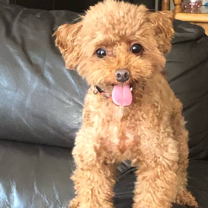 0512df30 2832 4510 a117 a9a99062a0e3 1568508830161