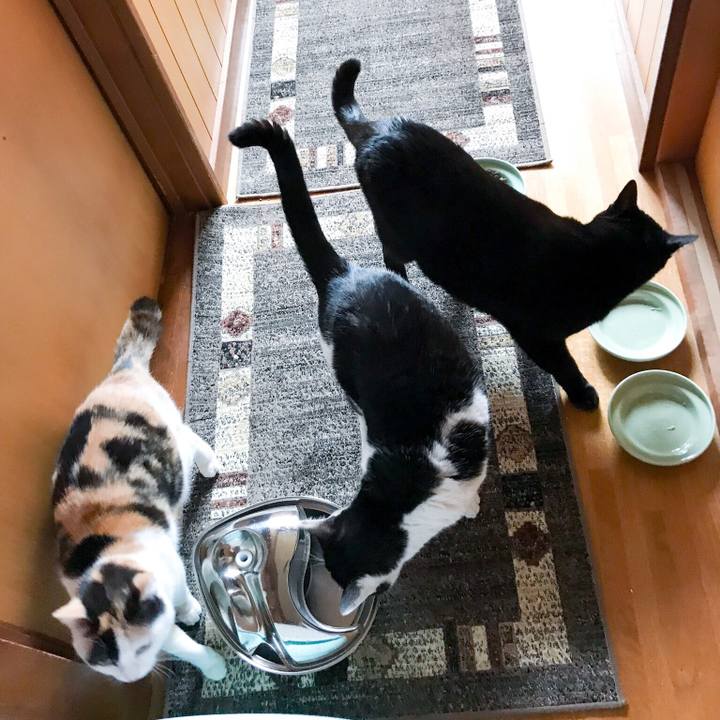 0512e72b 89d8 4abb b425 9112717759f5 1523581186655