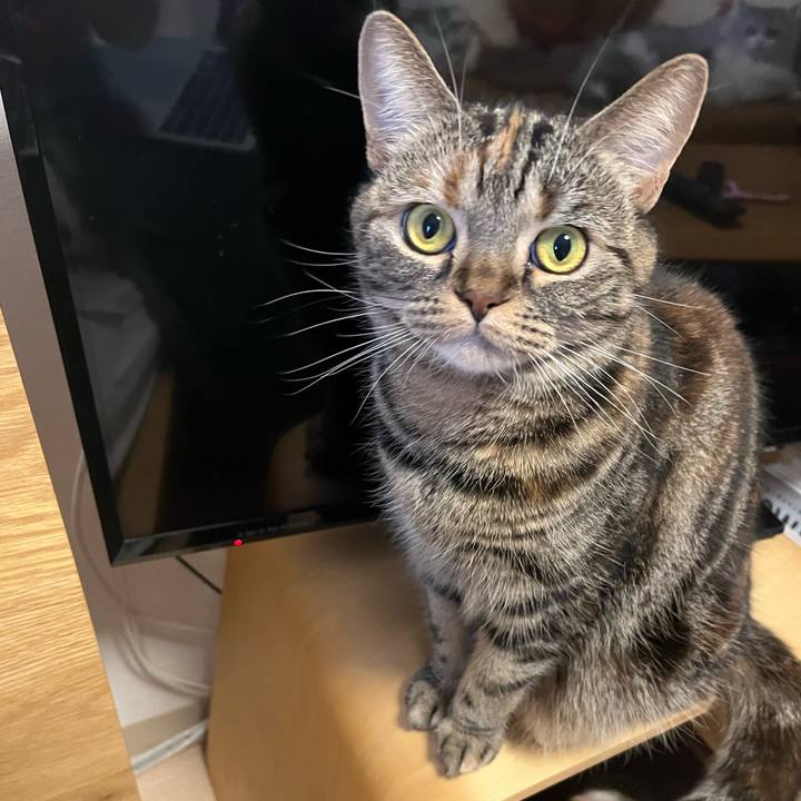 0512e99e 6e41 4c1d be74 517f0a6de249 1675351604258