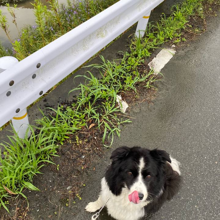 05130de1 1f9f 49cd 83ef 3eebe3c9616c 1599868486583