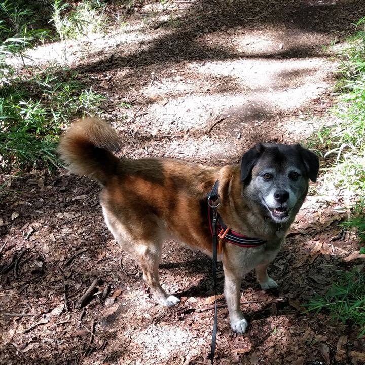 05133d45 0b5f 44df ae79 7eab208f6812 1529369031839