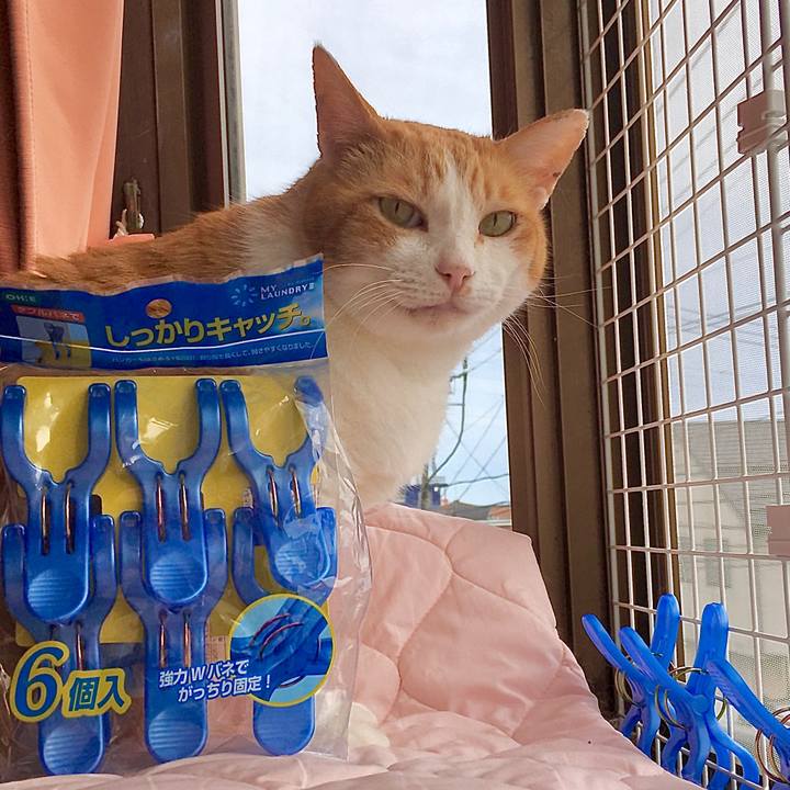 05135e08 d4aa 4503 9981 55f8612ed775 1592036399971