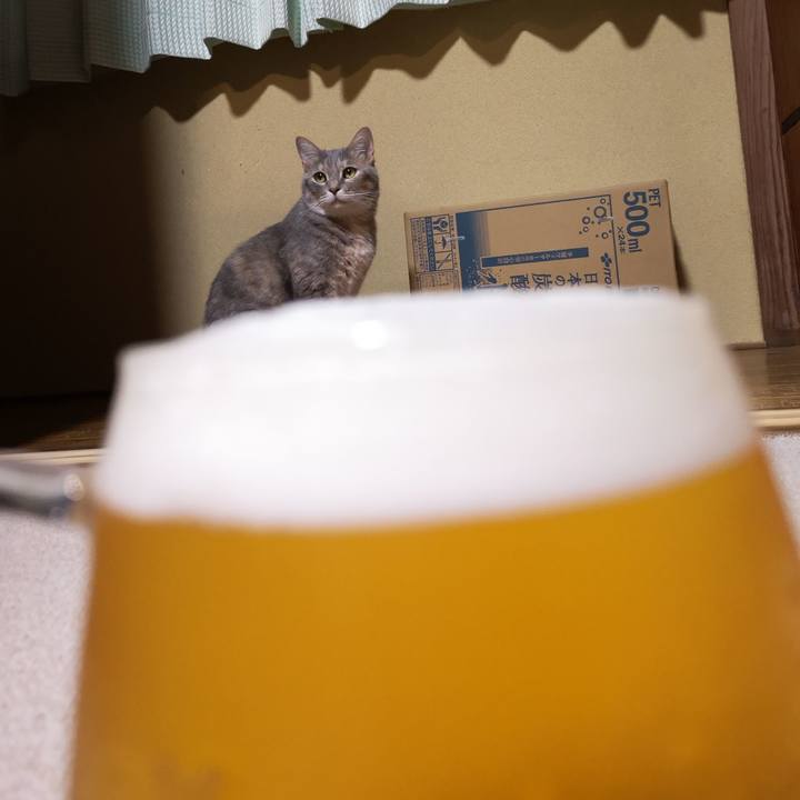 05137ac8 d746 47ea 9dbc 1d15830e693d 1556975014363