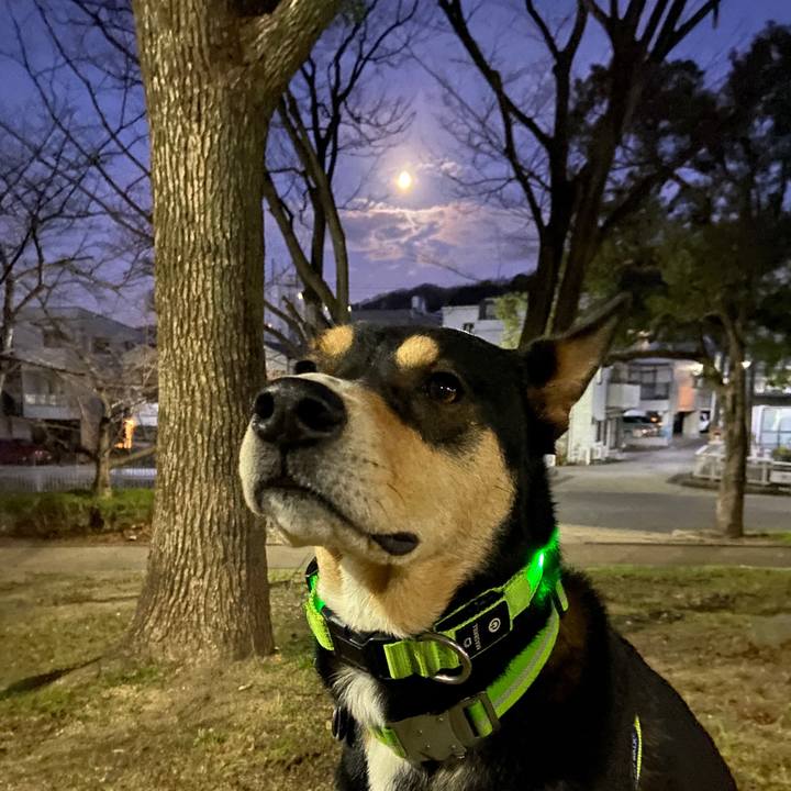 0513864b 1e49 4b95 8665 1e998bc75c7d 1639998625375