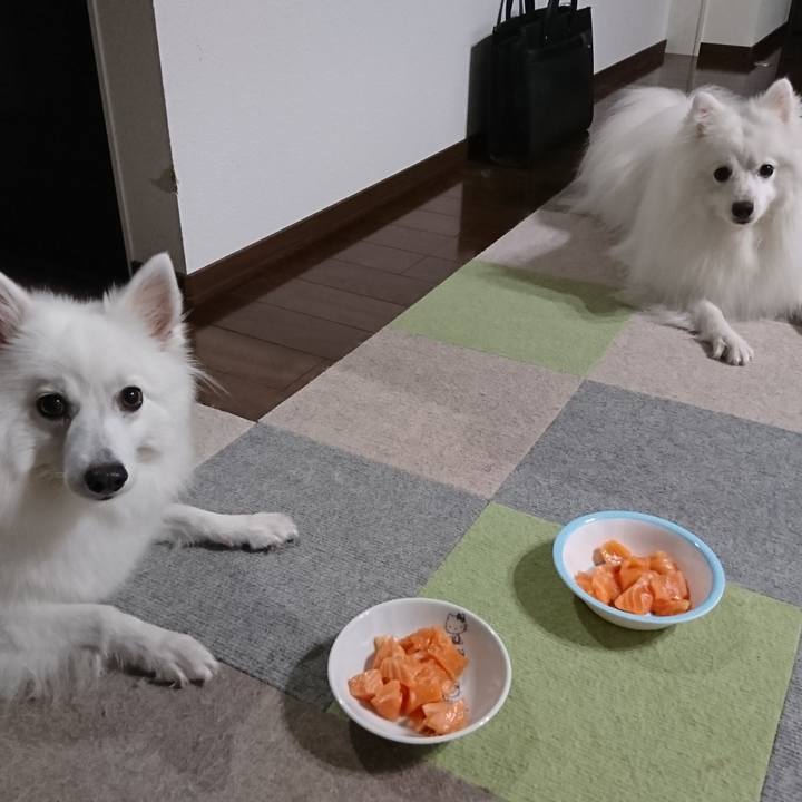 05138969 7f34 4a1d 8830 24779000e5a1 1598439728631