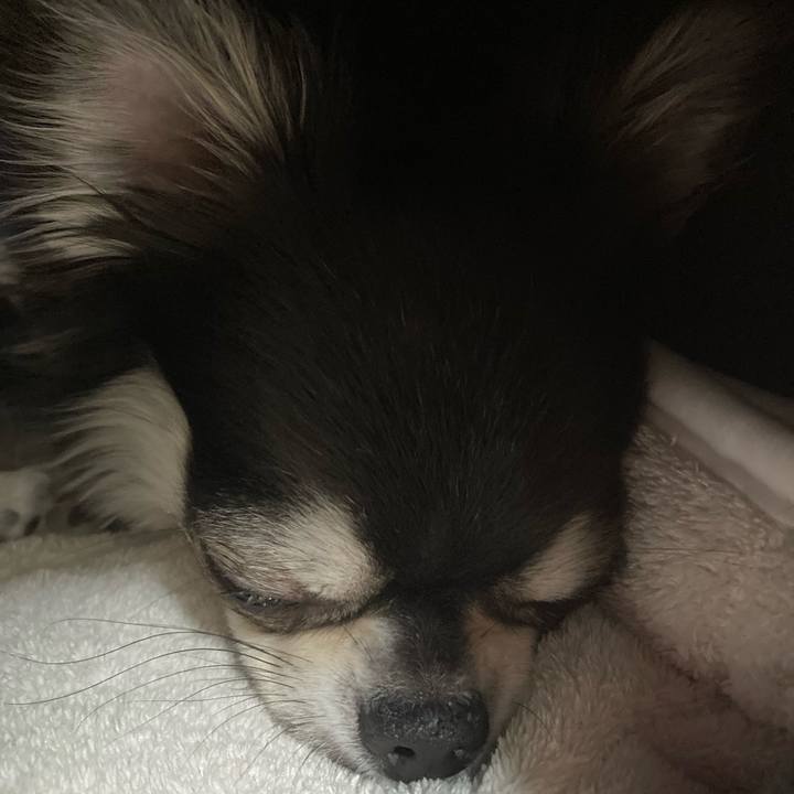 0513a358 9fc2 47de ac4b 0dd593f36f63 1648993776849