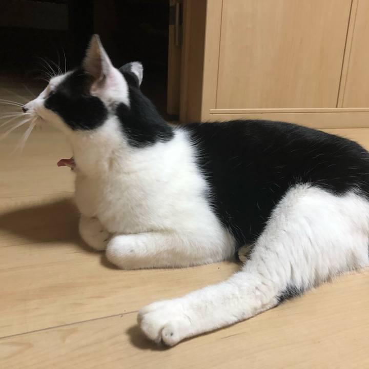 0513dec5 bb1a 41a2 8fd8 0075508613f3 1557668229281