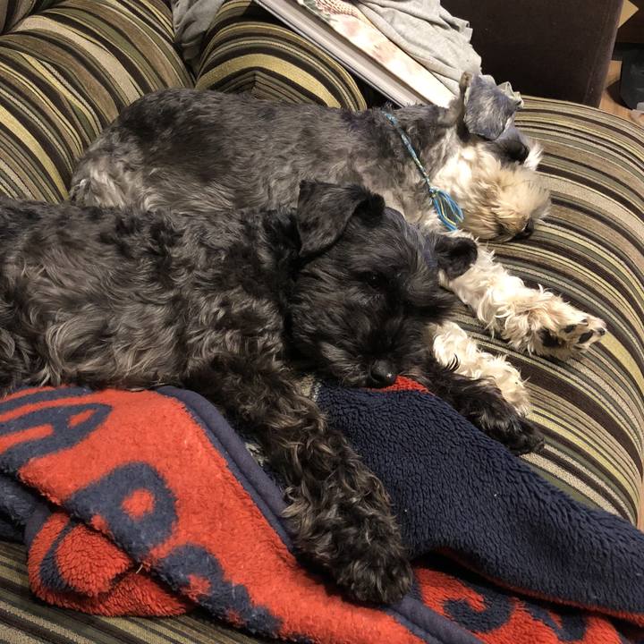 0513f772 26c2 4a7e b2e4 de8d4dc87021 1524229668967