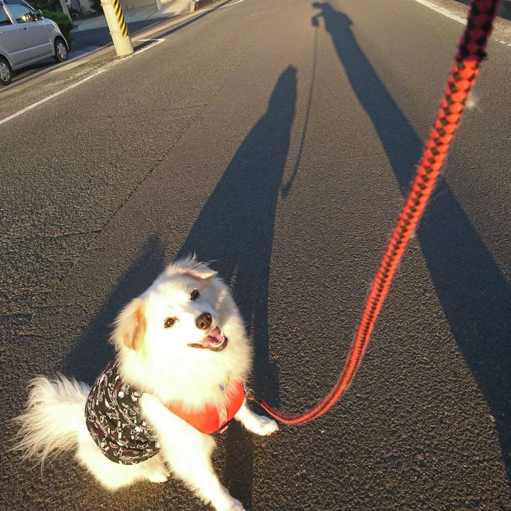 05141e4c fafb 498c 8d0b dcb925040087 1537652323293