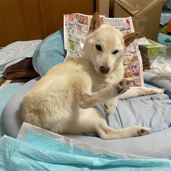 05142c0c 9550 494e b710 d9679ffc5f1d 1656127013376