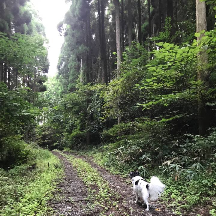 05143b3b 8fde 4d60 863f 0f945f0b6a26 1537185680722