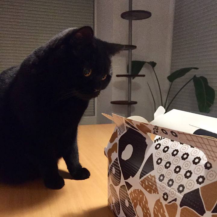 05148855 0c7b 4b12 b7ed 3ed105959b9d 1580296235107