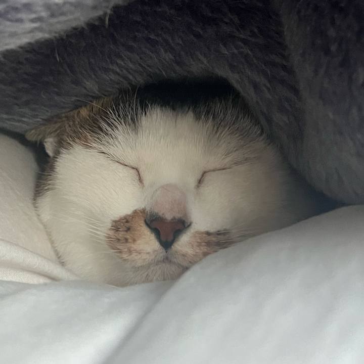 05149557 530f 4e25 bdc8 674e833425a4 1700629026664