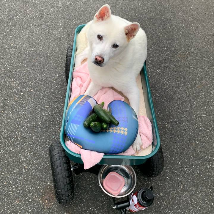 05149de2 a242 4206 b731 710bf4230571 1570749509437