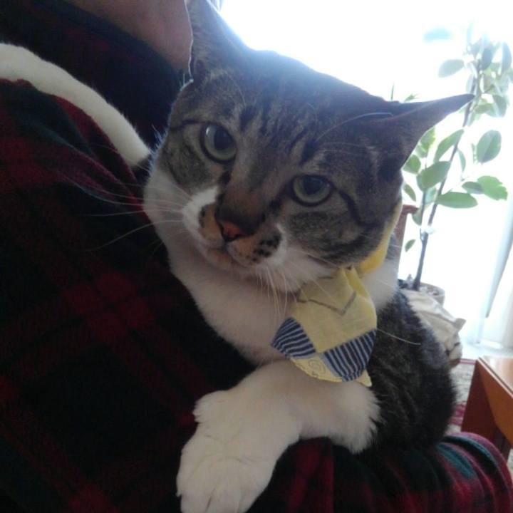 0514a07a d2c1 40db b4dd f75210fa0cc8 1686283616164