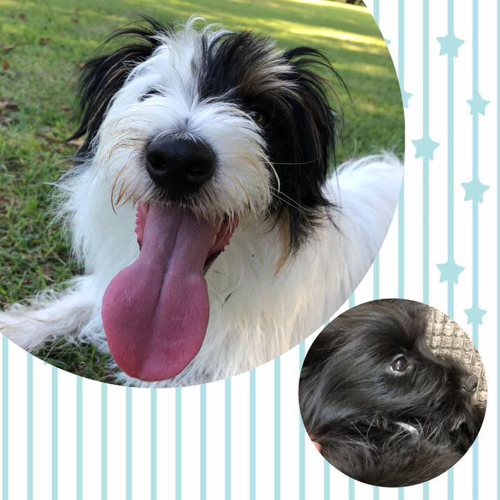 0514c92c 985f 4544 a610 a441f4110890 1531781520984