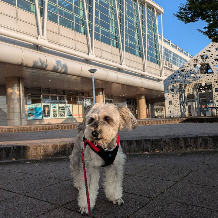 0514fc22 02be 4029 a1a6 2d8dab8e0b78 1754002917033