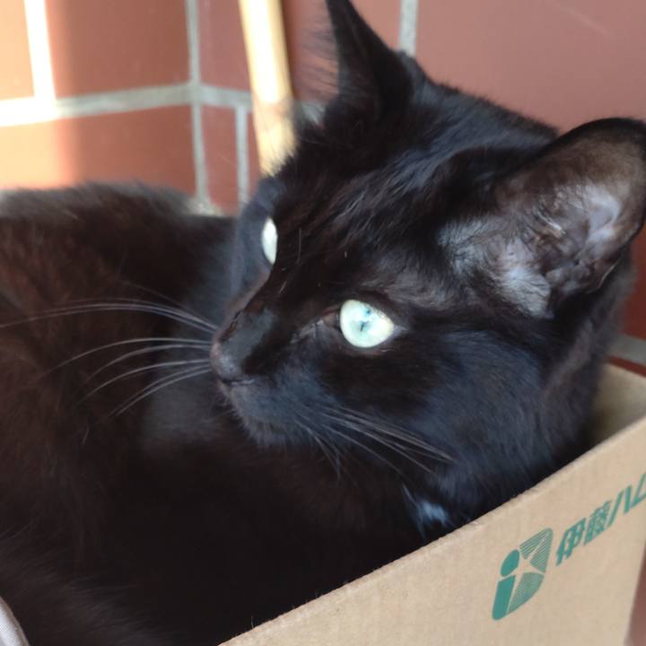 0514fc86 4567 4d8a 8844 1863365e2790 1695366124681