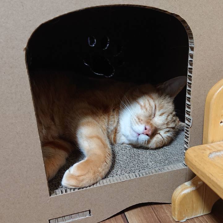 0515105a d9ed 4236 8c78 785b9e99a3b6 1661050093155