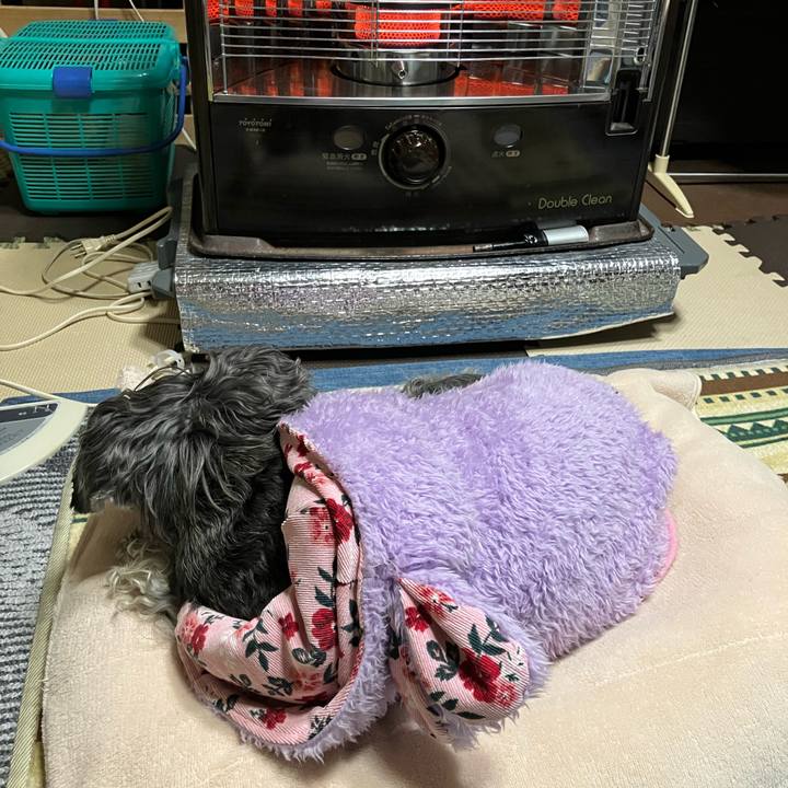 0515312a 410d 423f b2de 88a0ff859b0e 1738993239914