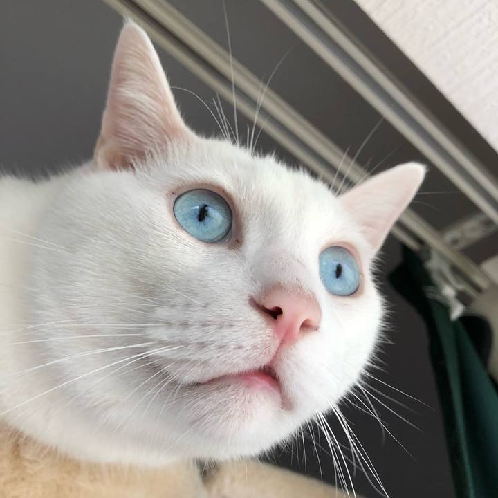 05153771 0571 4110 a38d e16e5b6da91f 1538280444592