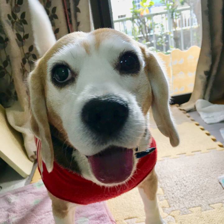 0515424c fe35 4ea7 9308 ff45876417f0 1552720853586