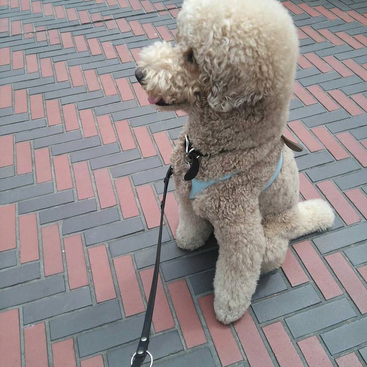 051568a0 99ef 4098 978e 7dacc1ba5ae7 1528469160830