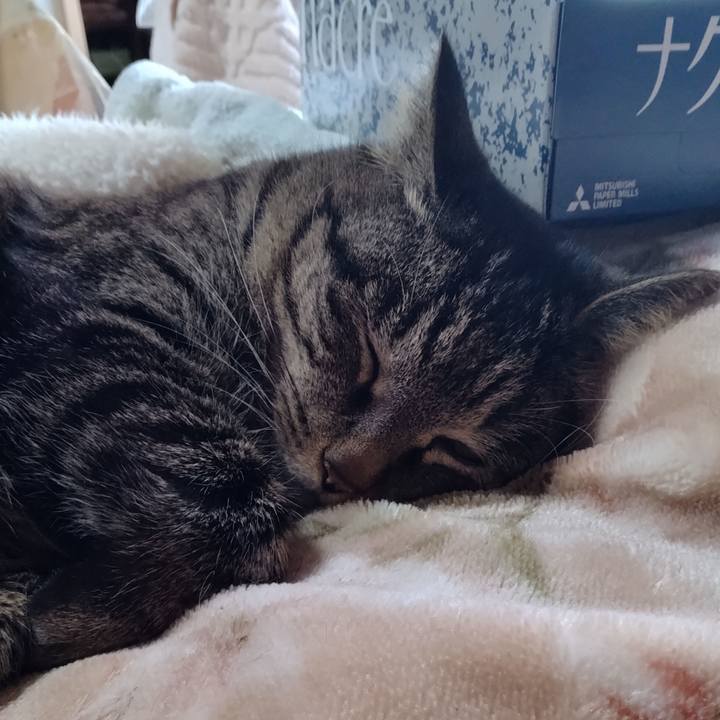 051571a5 3ea6 4a6e 8e67 07e43ff06ba5 1676094044850