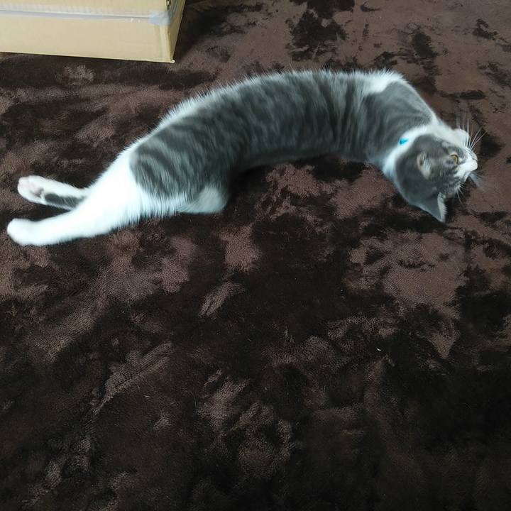 051589b6 91ea 4128 bce2 acf46986b0fc 1575337625768