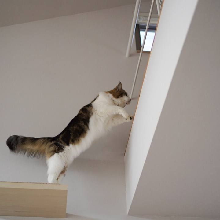 0515b4c4 02c9 4406 9af1 284dd150a16b 1608342605671