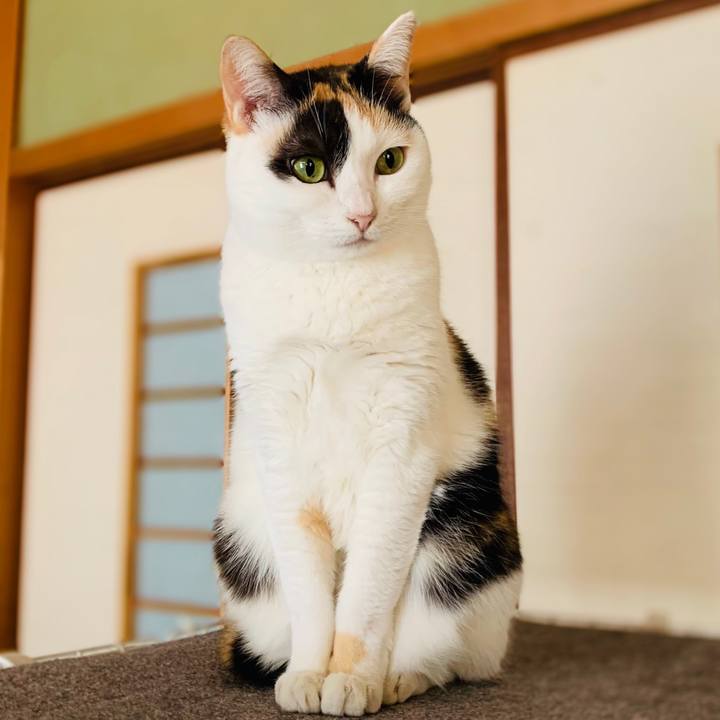 0515bcc7 6a71 4ba0 8829 5a62fee6dabd 1607050947002