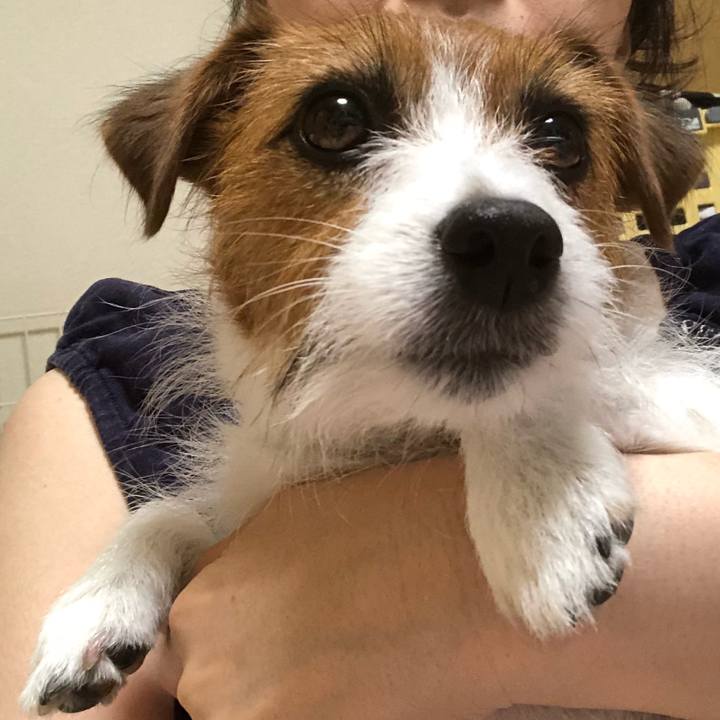 0515ce1a 48b9 4e07 abbd 2f68b65d48f6 1531671788299