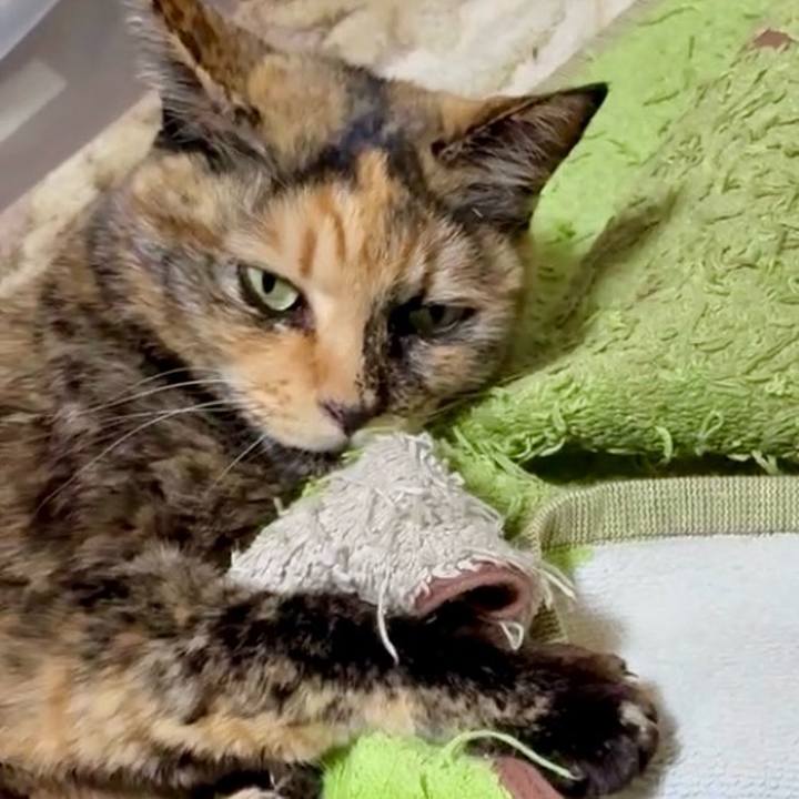 0515db76 14ee 4c7b 9d24 9b5a007aa882 1771619737833