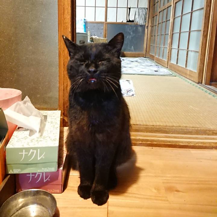 0515fddc 9dc6 4dce a808 80b0ecdb775a 1624972695900