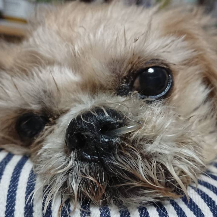 05160003 59ca 4c66 bfe9 ae7f22bcb5f8 1555993660915