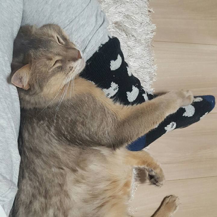 05163fd7 b4fd 4741 8253 eee12d2c7cdb 1545777487635