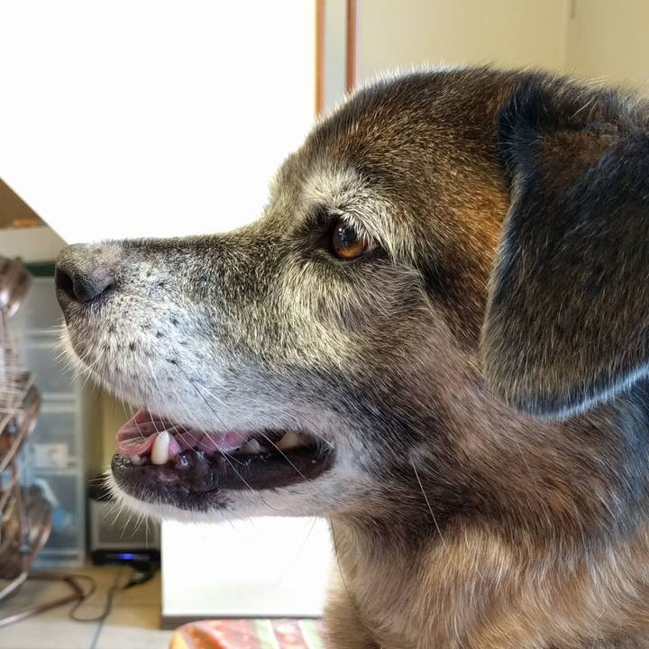 05168f26 8521 4c83 b7c1 7bb848dee115 1531879859872