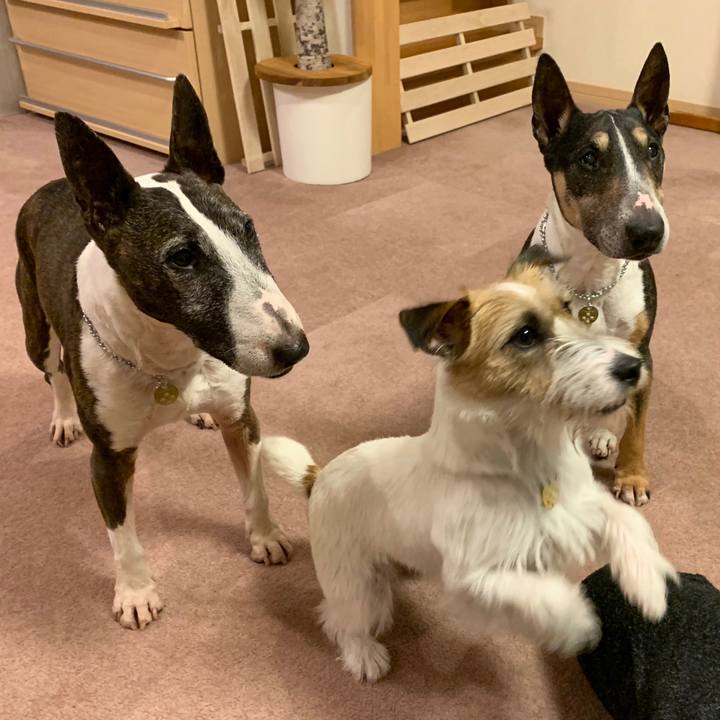 0516aa16 b0d4 48ac 8fbc 511c335044e0 1590498056866