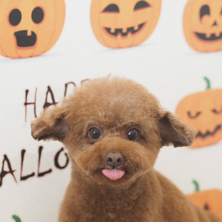 0516d1b6 41ef 4f04 a0d4 d5e0062027b3 1570353480117