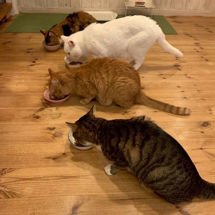 0516d96b f5b6 4bd5 a424 9e19fda4439b 1764150620033