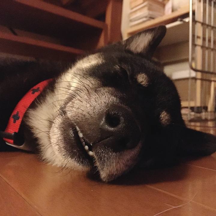 0517074e 8a94 4684 8726 50bde83da1c1 1565365513202