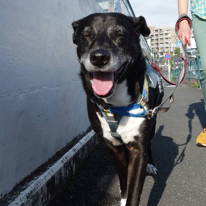 051719e8 1a38 4c65 ba27 766890becb4b 1750982406083