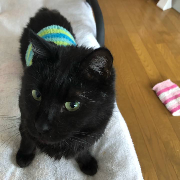 05172788 1a03 4cb6 b096 b29578b7d3be 1606625310899