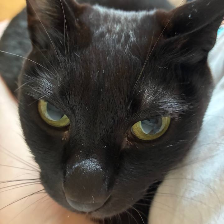 05172b28 c488 47f8 9986 fef5a7ece73a 1748208268249