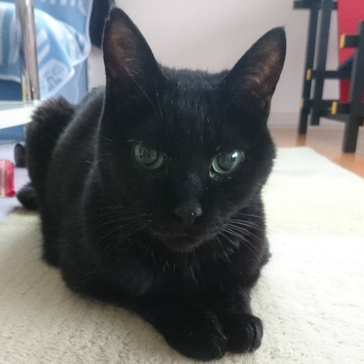 05173142 72a8 4d82 b62d 3f21c3851c8b 1530132964026