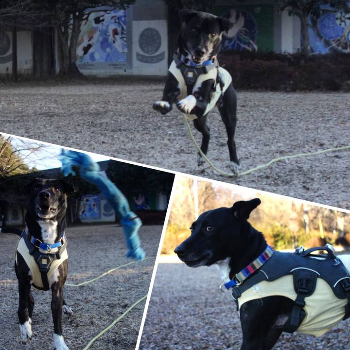 051734f0 d020 47a5 baff 402da77bce7a 1642733021106