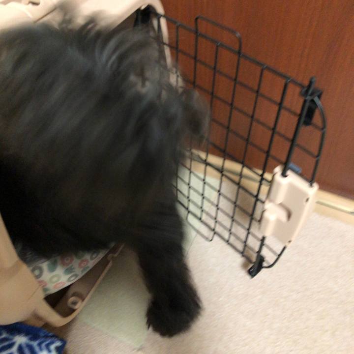 0517551b 17fb 4d33 8507 567151cf54d5 1541742069736