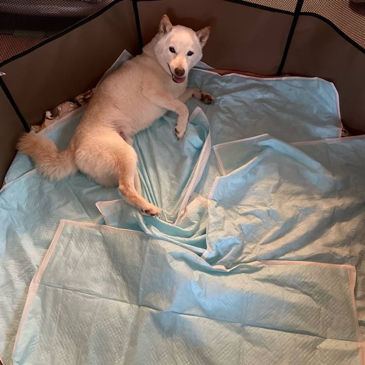 05178259 3795 4310 bf97 87e4bfc47ee8 1651068657542